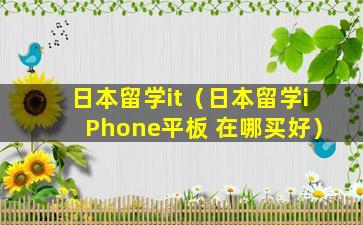 日本留学it（日本留学iPhone平板 在哪买好）
